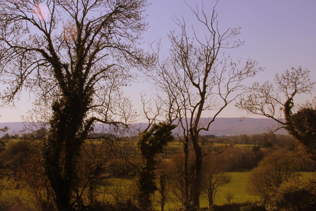 Woodview House Bed And Breakfast Ballinrobe Exterior photo